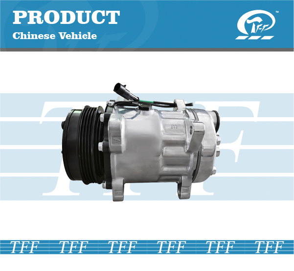 TFF057003 DONGFENG TIANJIN 4PK(8 TAN)