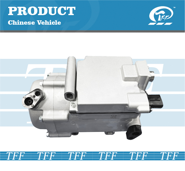TFF062004 JOYLONG CAM EA4 EV