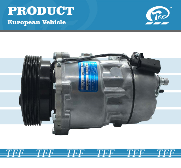 TFF068007 VW.BEETLE/VENTO 6PK SD1278/1080